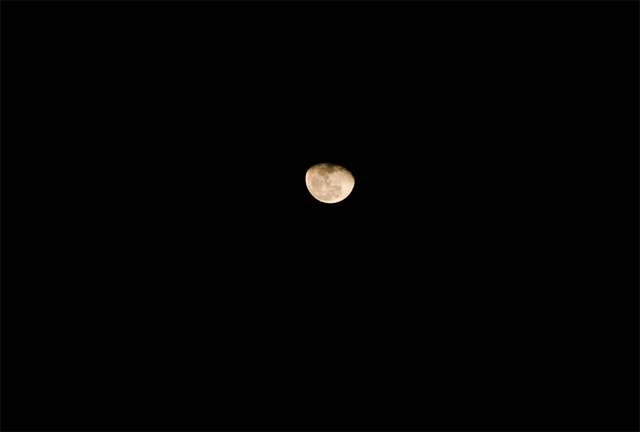  2008-01-26 23